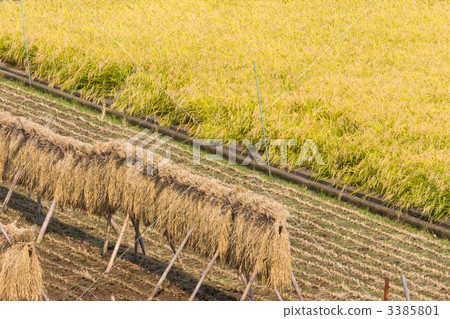 Hasagake Hasagake 3385801