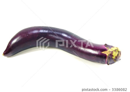 長面茄子1個白色背面側身 3386082