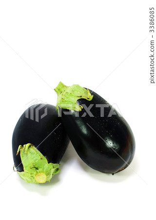 Binus 2 pcs白背交錯垂直位置 3386085