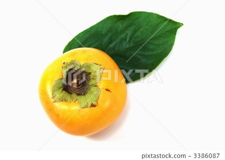 柿子堅果和葉子/側身位置 3386087