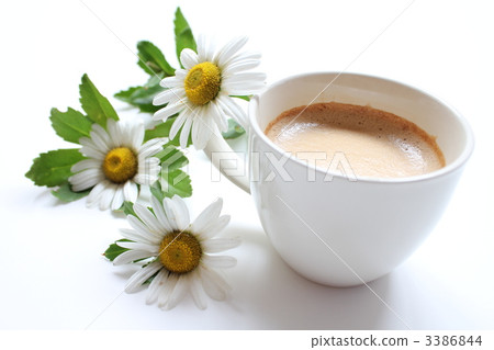 Cappuccino and Hama Chrysanthemum Cappuccino and Hama Chrysanthemum 3386844