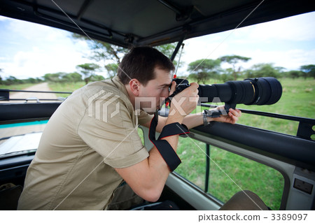 Safari vacation 3389097