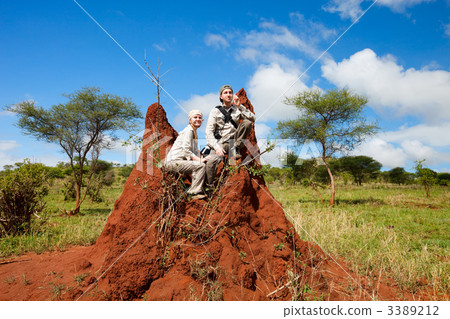 Safari vacation 3389212