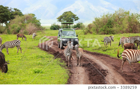 Game drive Game drive 3389259