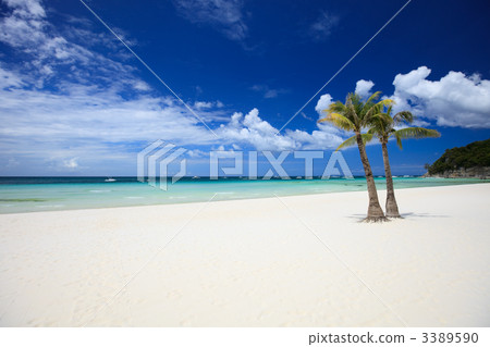 Perfect beach 3389590