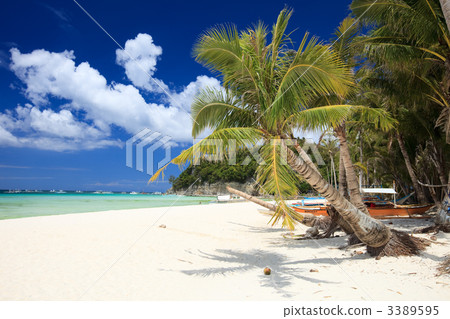 Tropical Paradise Tropical Paradise 3389595