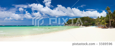 Tropical Paradise 3389596