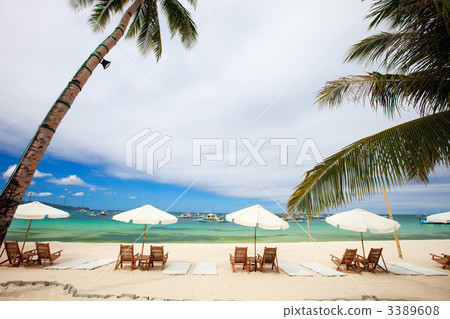 Tropical Paradise Tropical Paradise 3389608
