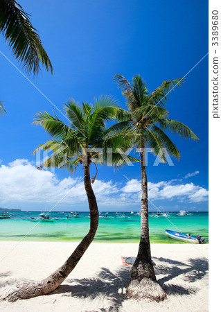 Tropical Paradise 3389680