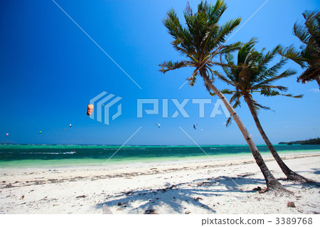 Tropical Paradise 3389768