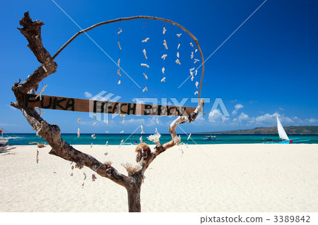 Puka Shell beach 3389842