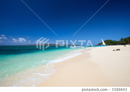 Tropical Paradise 3389843