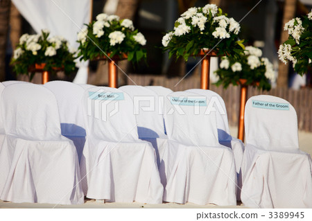 Wedding Ceremony Wedding Ceremony 3389945