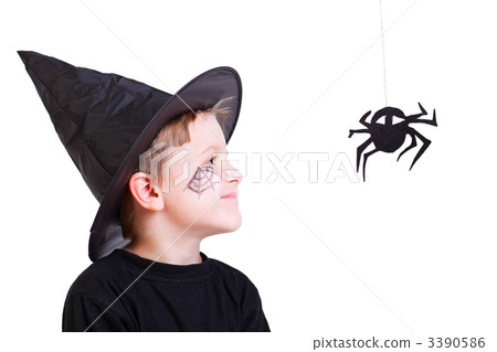 Boy in witch hat and black spider 3390586