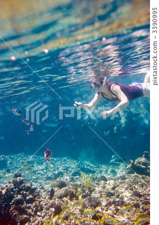 Woman snorkeling 3390995