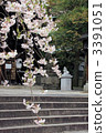 okasaki shrine, koma usagi, kyoto 3391051