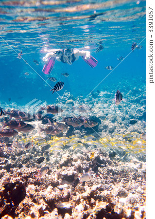 Woman snorkeling Woman snorkeling 3391057