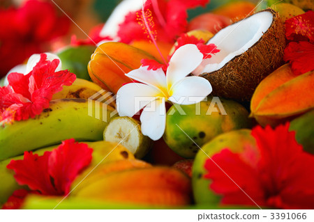 Coconuts, fruits and tropical flowers 3391066