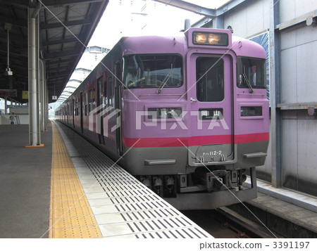 Series 113 3391197