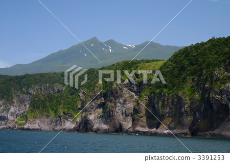 Shirebun Shirebun 3391253