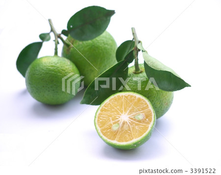 Cabos with branches 3391522