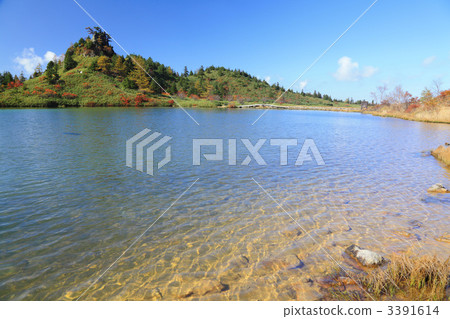 Yumii池塘的秋天 3391614