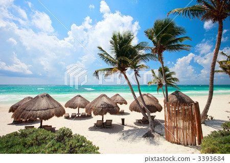 Caribbean coast 3393684