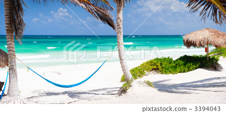 Caribbean coast Caribbean coast 3394043