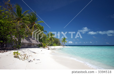 Beautiful scenery at the beach 3394518