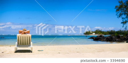 Tropical Paradise Tropical Paradise 3394690