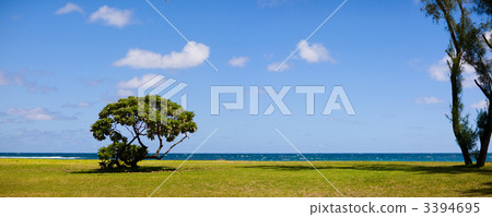 Seascape 3394695