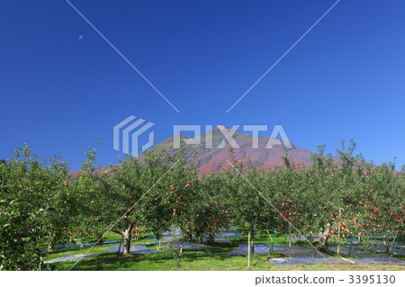 Iwakiyama and Apple Garden - Aomori Prefecture Hirosaki City 3395130