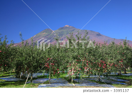Iwakiyama and Apple Garden - Aomori Prefecture Hirosaki City 3395137