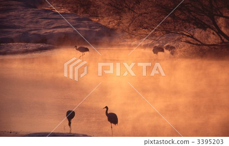 Dan Yue Snowing River 3395203