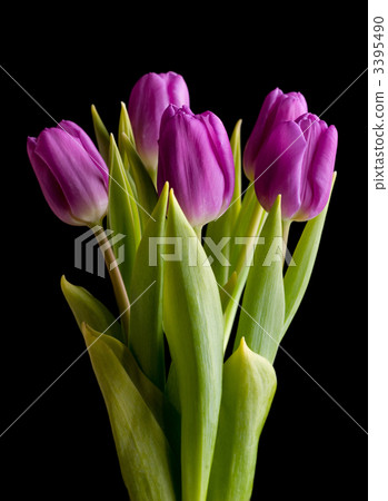 Spring bouquet 3395490