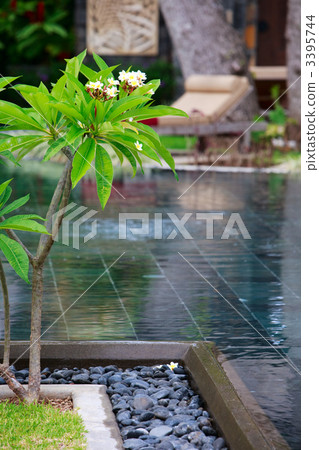 Tropical resort Tropical resort 3395744