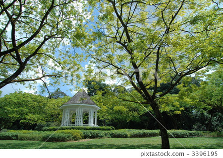 植物園的Higashiya 3396195