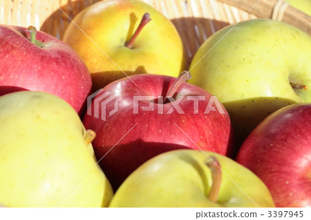 Assorted apples Assorted apples 3397945