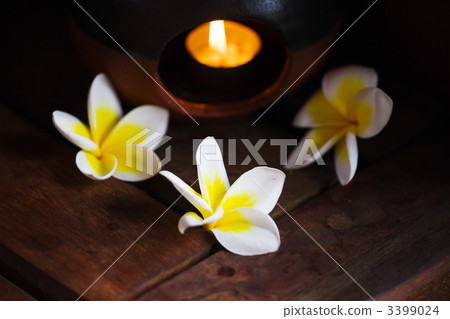 SPA Details SPA Details 3399024
