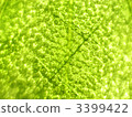 Texture over green vein glass 3399422