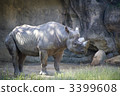 tennoji, black rhino, entire 3399608