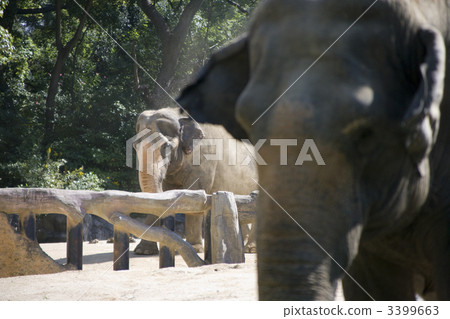 全部的 整個 全體 3399663