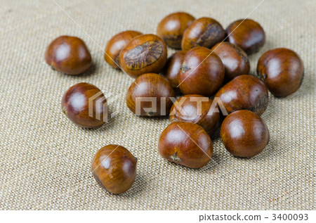 Sweet chestnut above linen 3400093