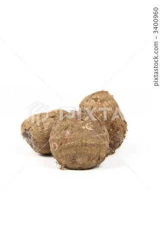 Taro Taro 3400960