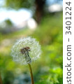 Waste 3401224