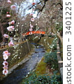 Plum and bridge 3401225