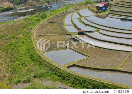 One job before planting rice One job before planting rice 3402269