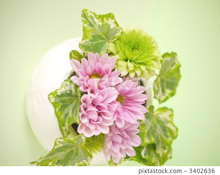 Lime green and pink arrangement 3402636