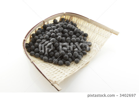 tanba black bean, bean, beans 3402697