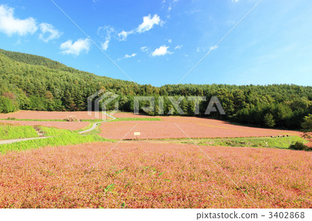 Red-soba no Sato 3402868
